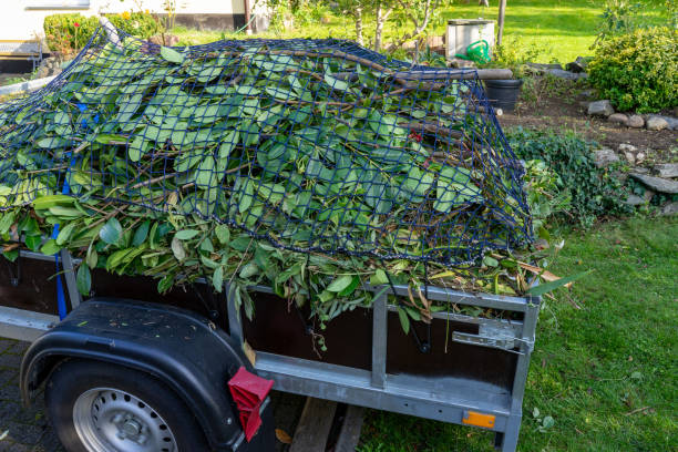 Best Same-Day Junk Removal Services  in Milton, WV